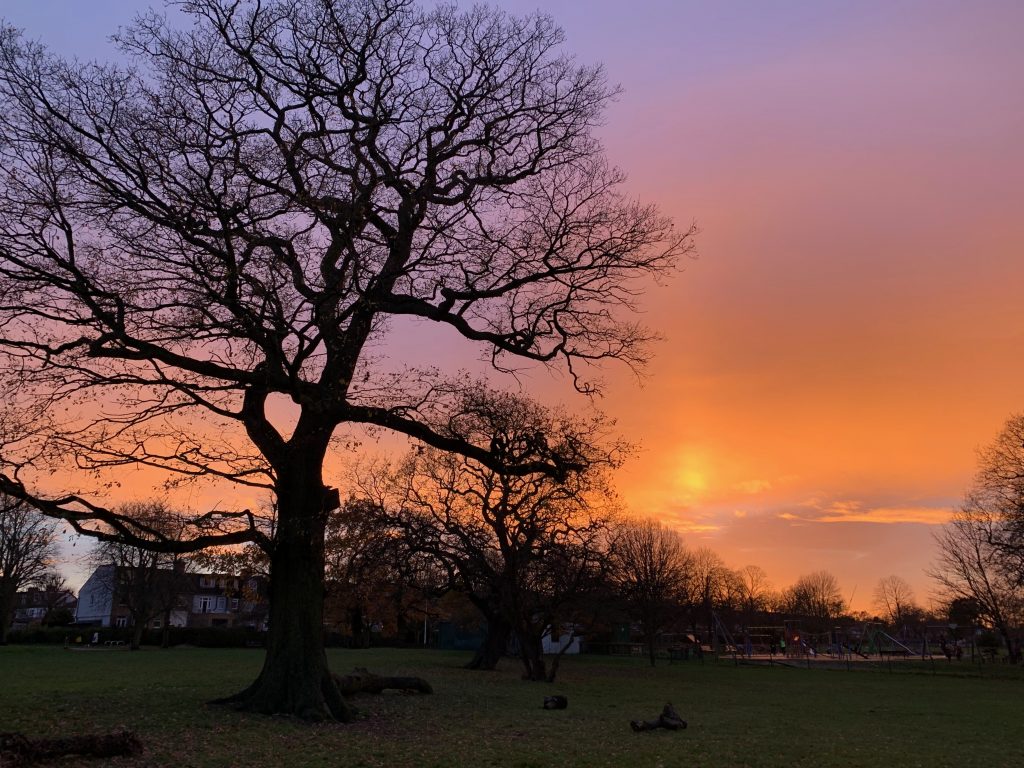 Early winter sunset of yellow, orange and violet light.